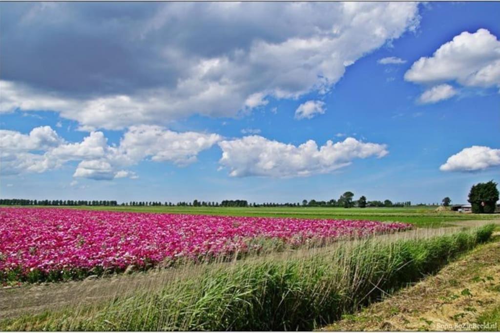-Nieuw- Luxe & Sfeervol Vakantiehuis Tholen Bagian luar foto
