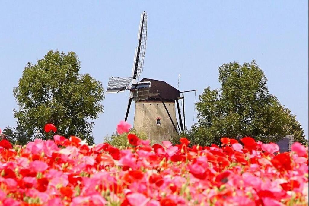 -Nieuw- Luxe & Sfeervol Vakantiehuis Tholen Bagian luar foto