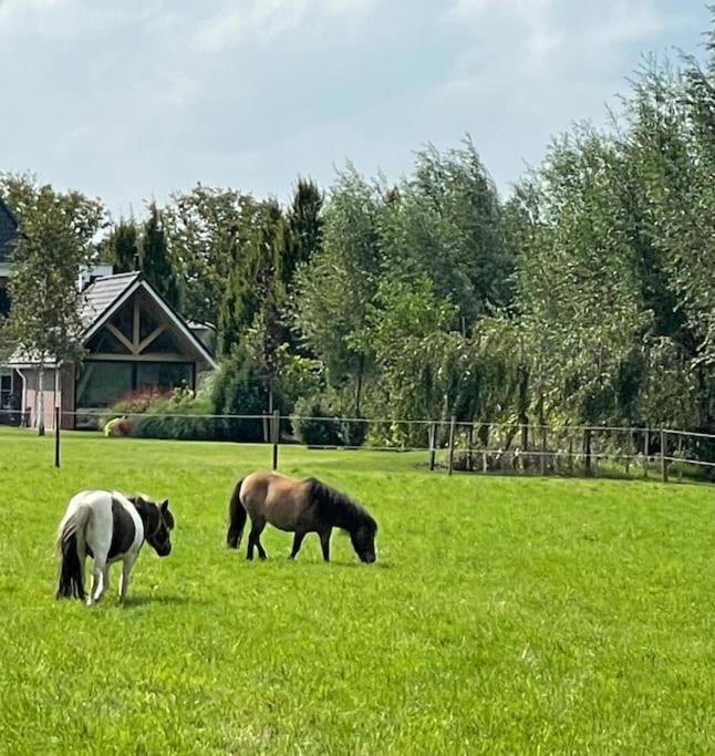 -Nieuw- Luxe & Sfeervol Vakantiehuis Tholen Bagian luar foto